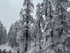 -瓦屋山景区