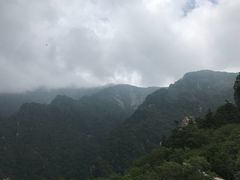 -牛背梁国家森林公园