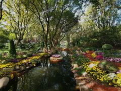 -上海共青森林公园