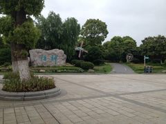 iphone_upload_pic-上海鲜花港