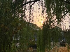 -南锣鼓巷