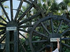 -重庆海昌加勒比海水世界