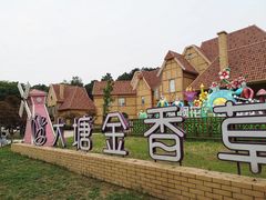 -大塘金香草谷