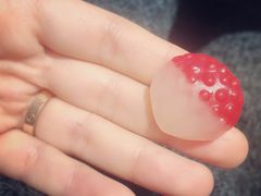 -美盛喜来登大酒店-盛宴标帜餐厅
