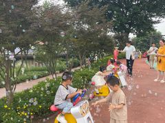 -铁山坪森林公园