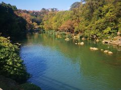 -花溪公园