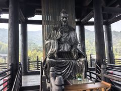 -大唐贡茶院