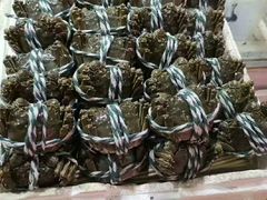 -王四营海鲜市场