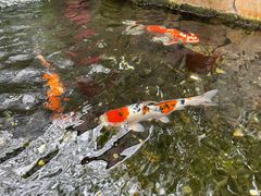 -香港海洋公园