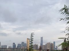 -小茶闲舍·观景商务茶馆(广州塔店)