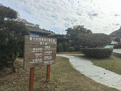 -杨梅坑