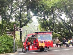 -铁山坪森林公园