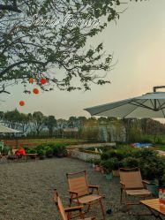 -DORA kids 朵拉儿童摄影花园店