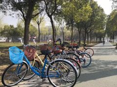 -东南大学(九龙湖校区)