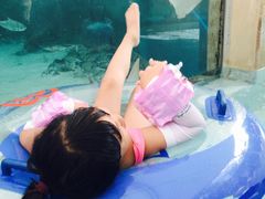 -新加坡水上探险乐园
