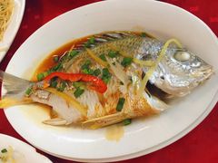 -蛇口康乐快餐鱼仔档(翠苑小区店)