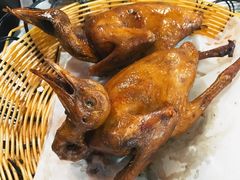 红烧乳鸽皇-石岐乳鸽村(桥观坊南四巷店)