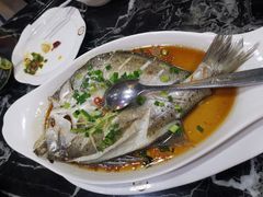 清蒸海鲈鱼-李师傅脆肚(华强北店)