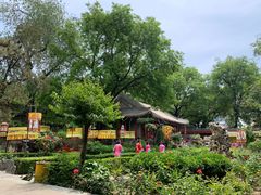 -白家大院·王府宫廷菜(苏州街店)