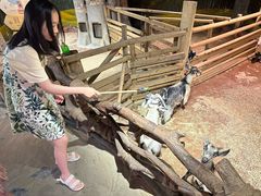 -正佳雨林生态植物园