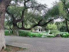 -北陵公园