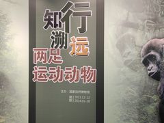 -国家自然博物馆