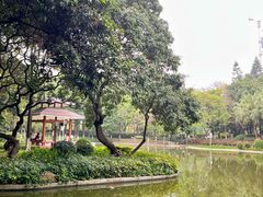 -黄埔荔枝公园