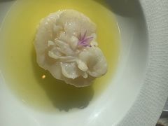 -子福慧(虹桥店)
