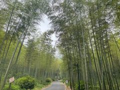 -听风阁农家私房菜茶楼(龙坞店)