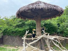 -上海野生动物园