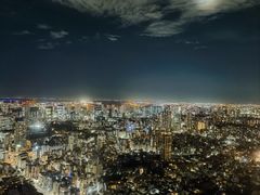 -六本木新城展望台(东京城市景观)