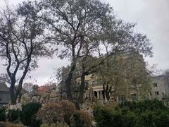 -张学良旧居陈列馆