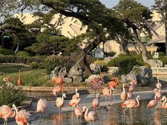 -泉城欧乐堡海洋极地世界