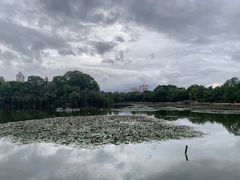 -翠湖宾馆·中餐厅