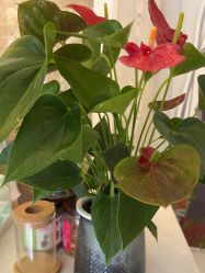 -香秀空间科技抗衰·美容中心