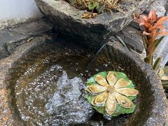 -金山嘴渔村