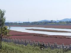 -红海滩国家风景廊道