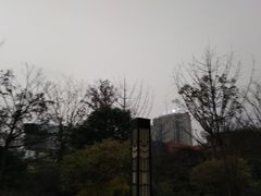 -正荣国领
