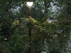 -龙坞茶村