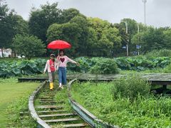 -美兰湖景区