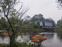 -成飞公园