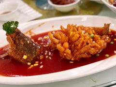松子桂鱼-菜之味