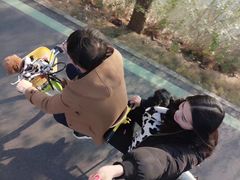 -合肥滨湖国家森林公园