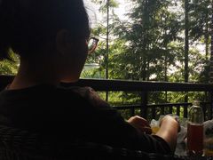 -天目湖松岭竹海漂流