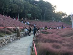 -牛岗山公园