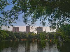 -晓港公园