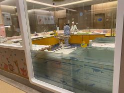 -金芙美月子中心(财富别墅店)