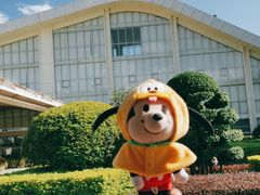 -德宏芒市国际机场