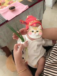 点击看大图 -小博士专业婴儿理发