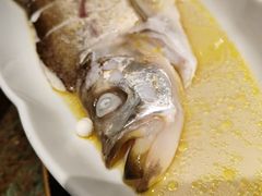 苏帮清蒸白鱼-苏帮袁Sue Cuisine(南开大悦城店)
